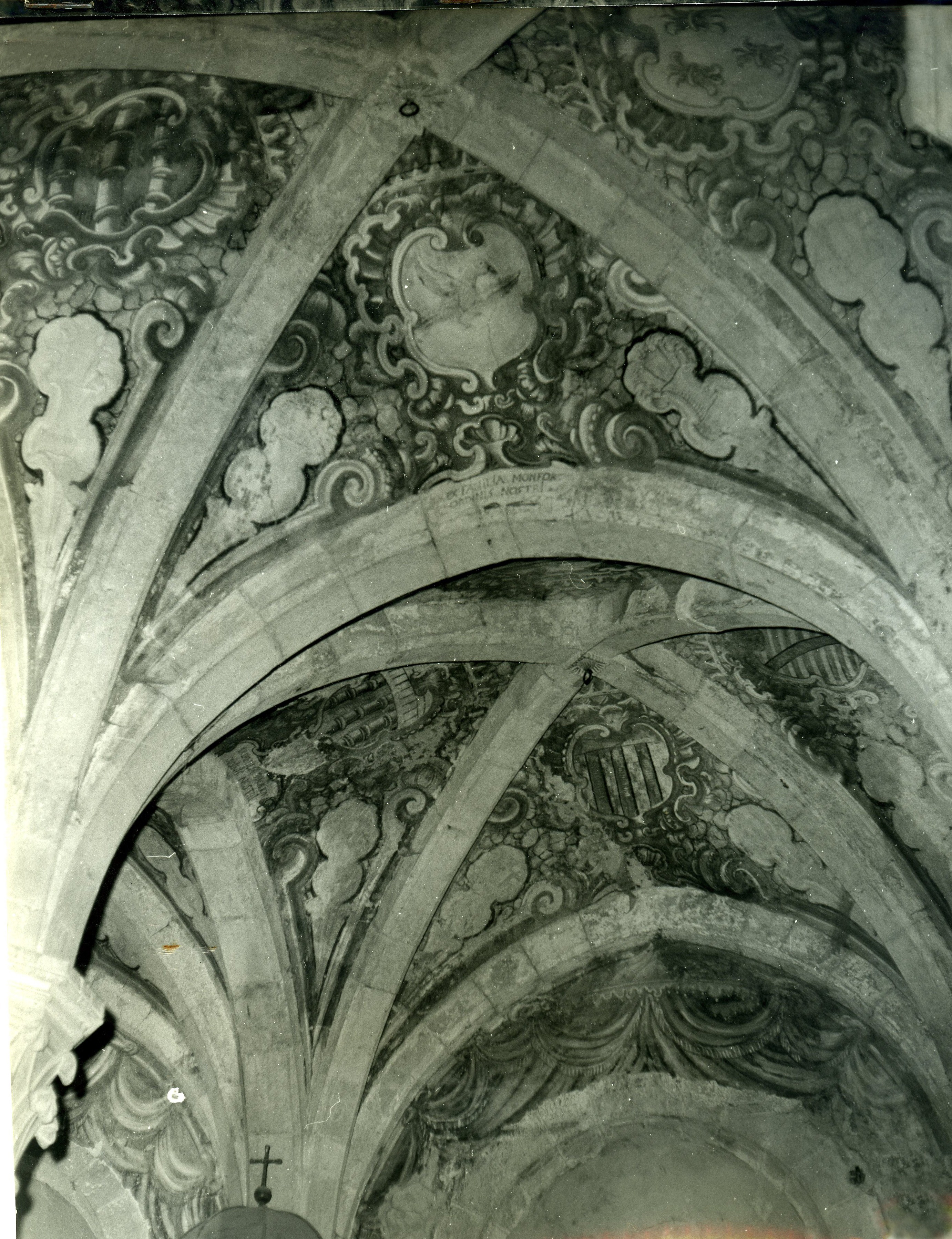 Archivio Dora Garofalo