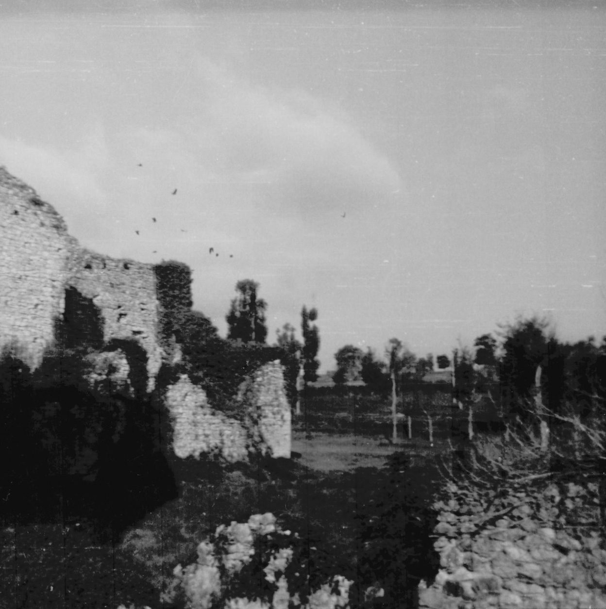 Chiesa Vaccaro Archivio Lucio Maria De Marino