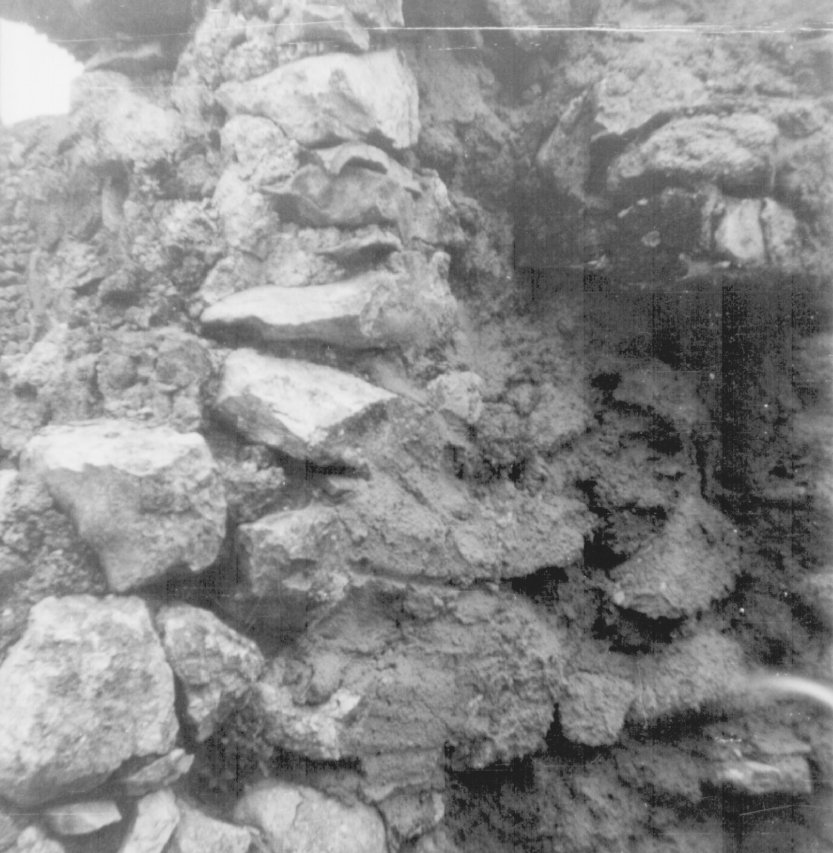 Archivio Lucio Maria De Marino