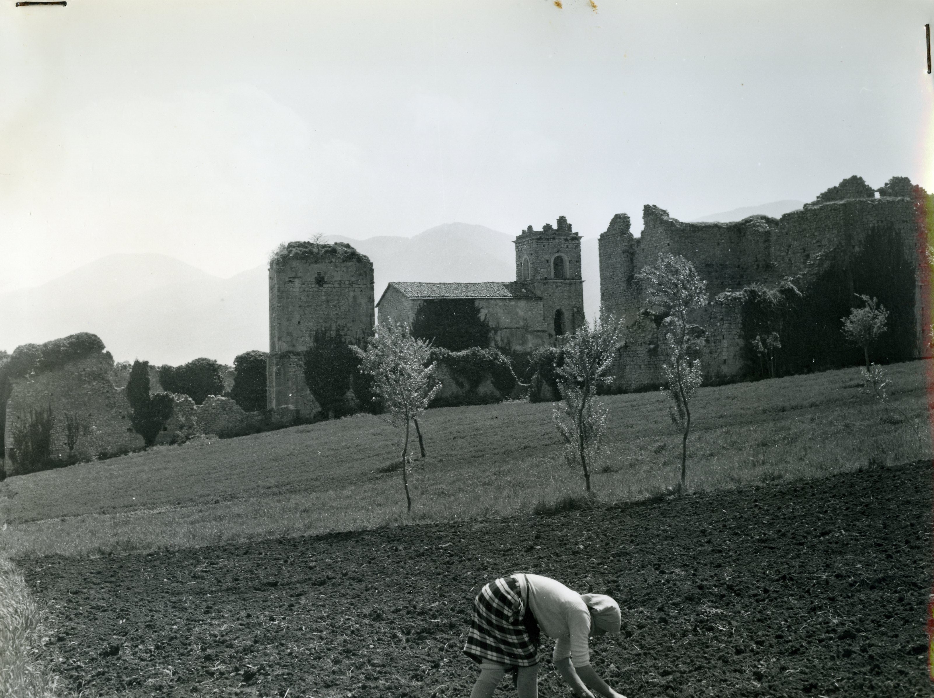 Archivio Dora Garofalo