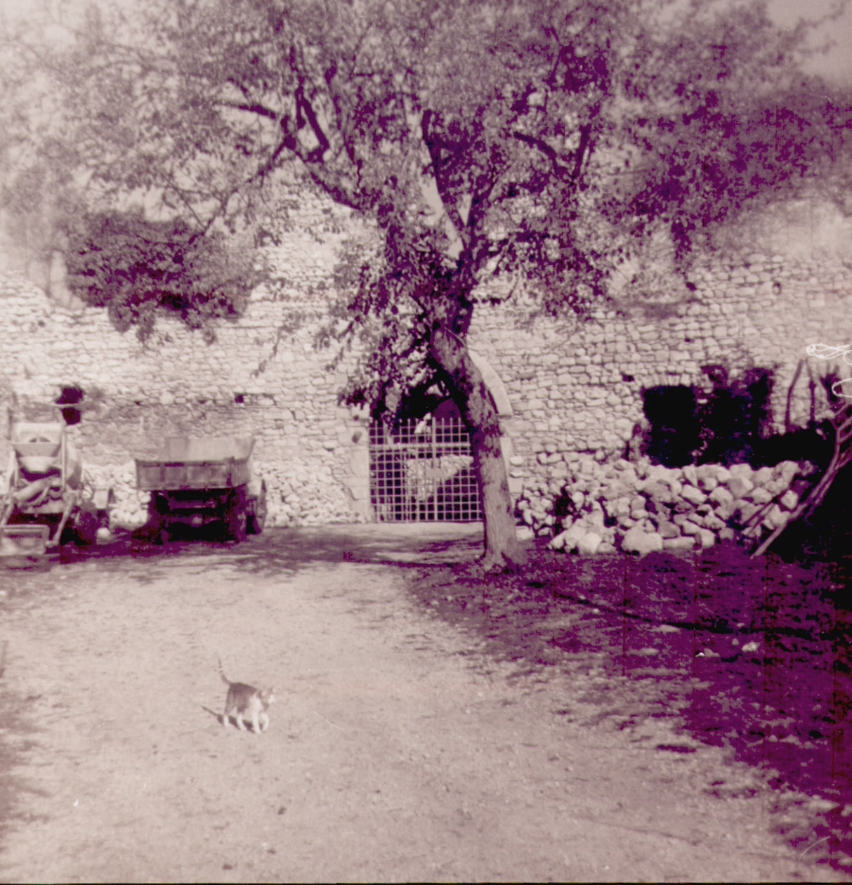 Ingresso Archivio Lucio Maria De Marino