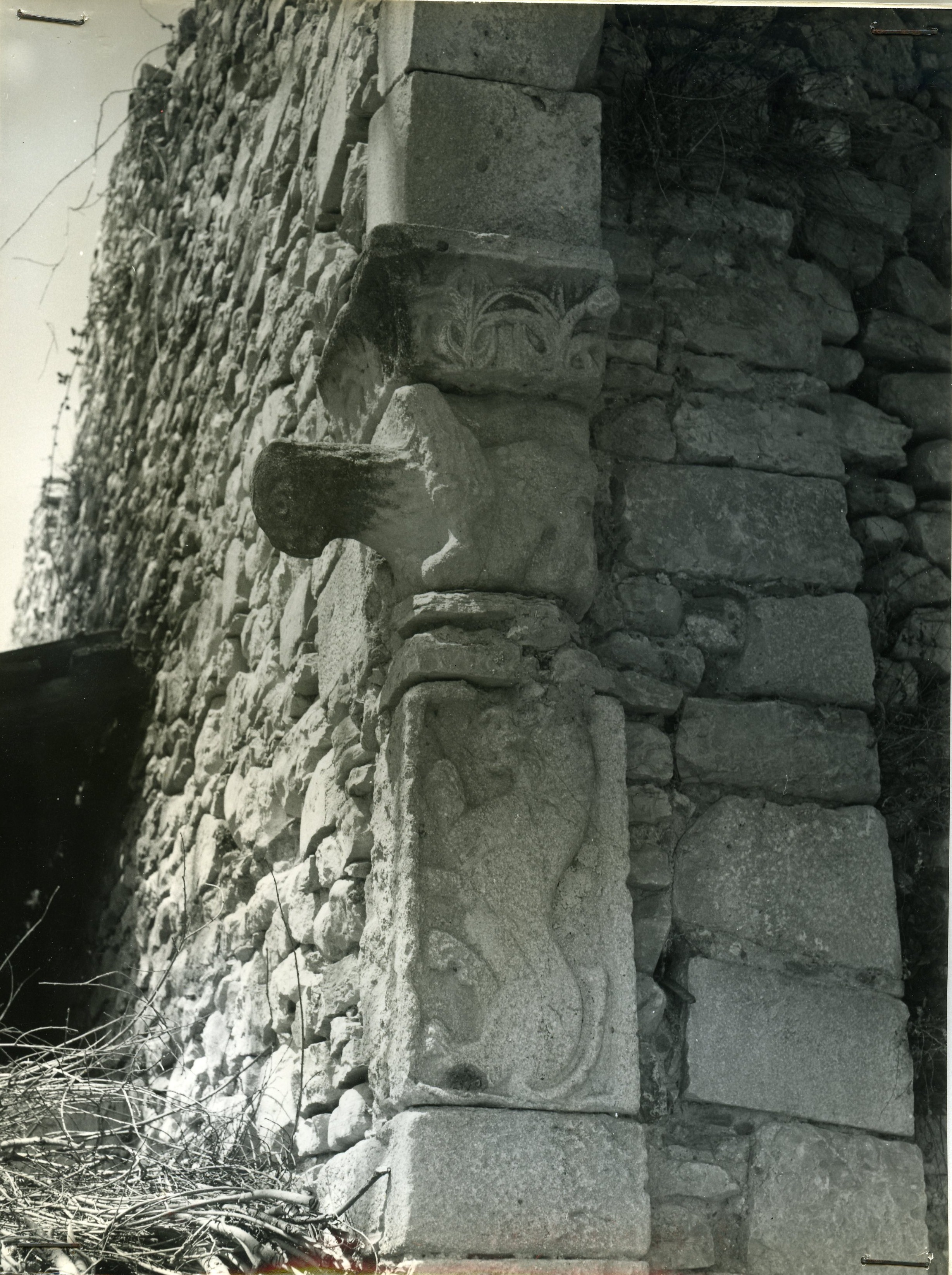 Archivio Dora Garofalo