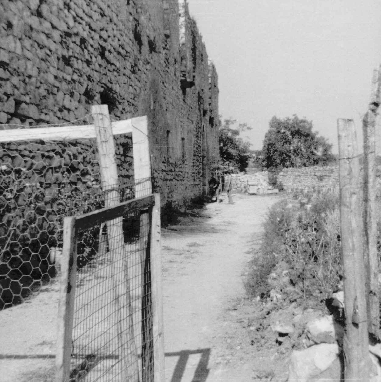 Archivio Lucio Maria De Marino