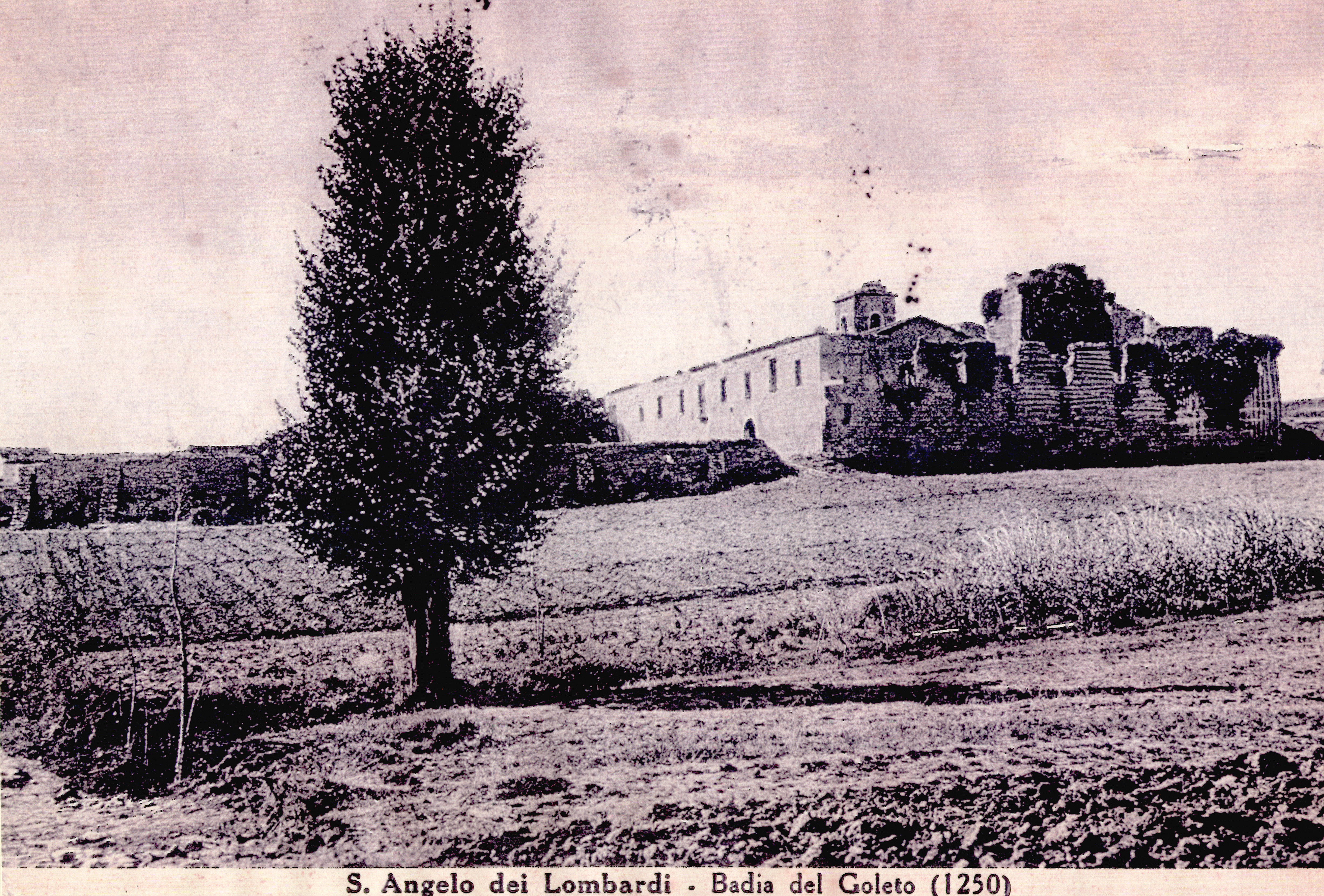 Archivio Gianni Marino