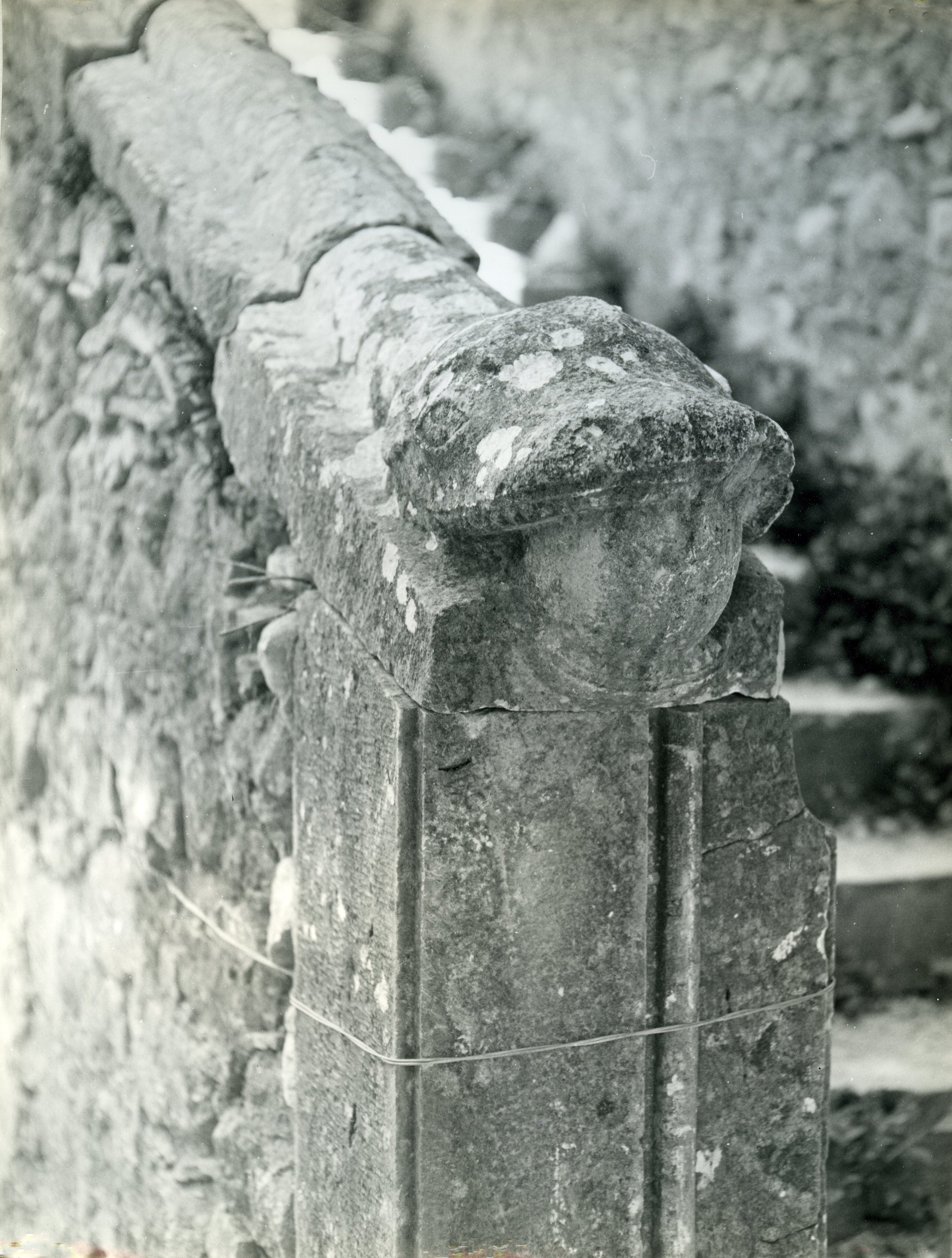 Archivio Dora Garofalo