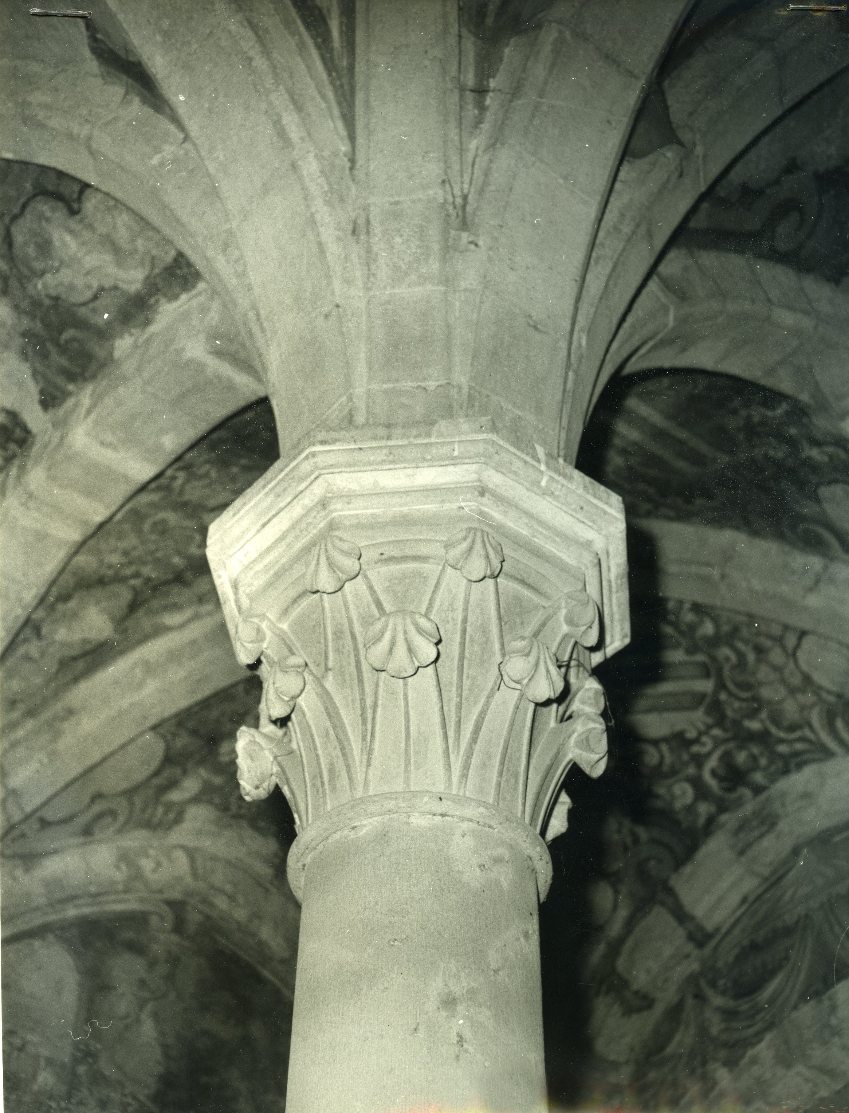 Archivio Dora Garofalo