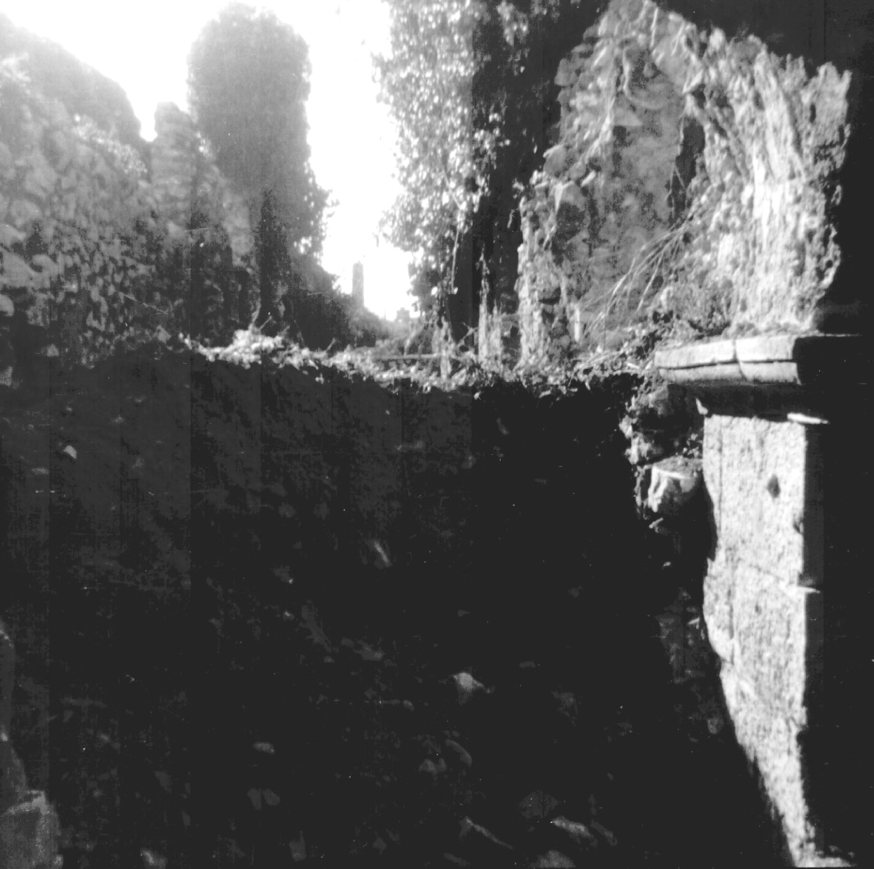 Liberazione Archi Cf Archivio Lucio Maria De Marino