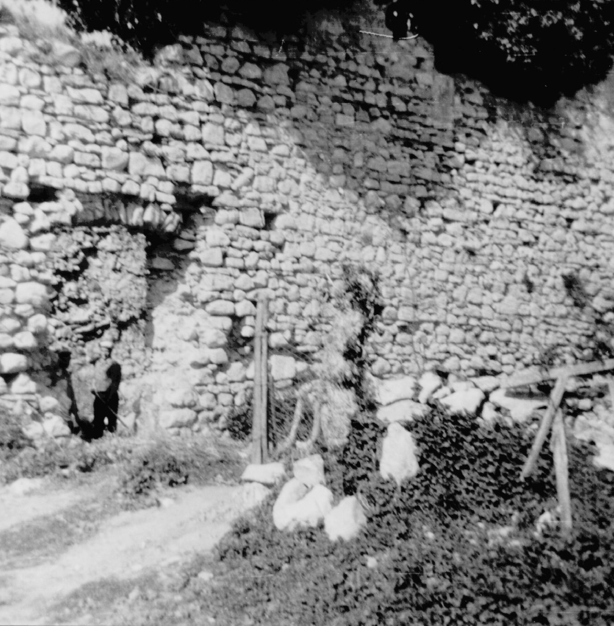 Archivio Lucio Maria De Marino