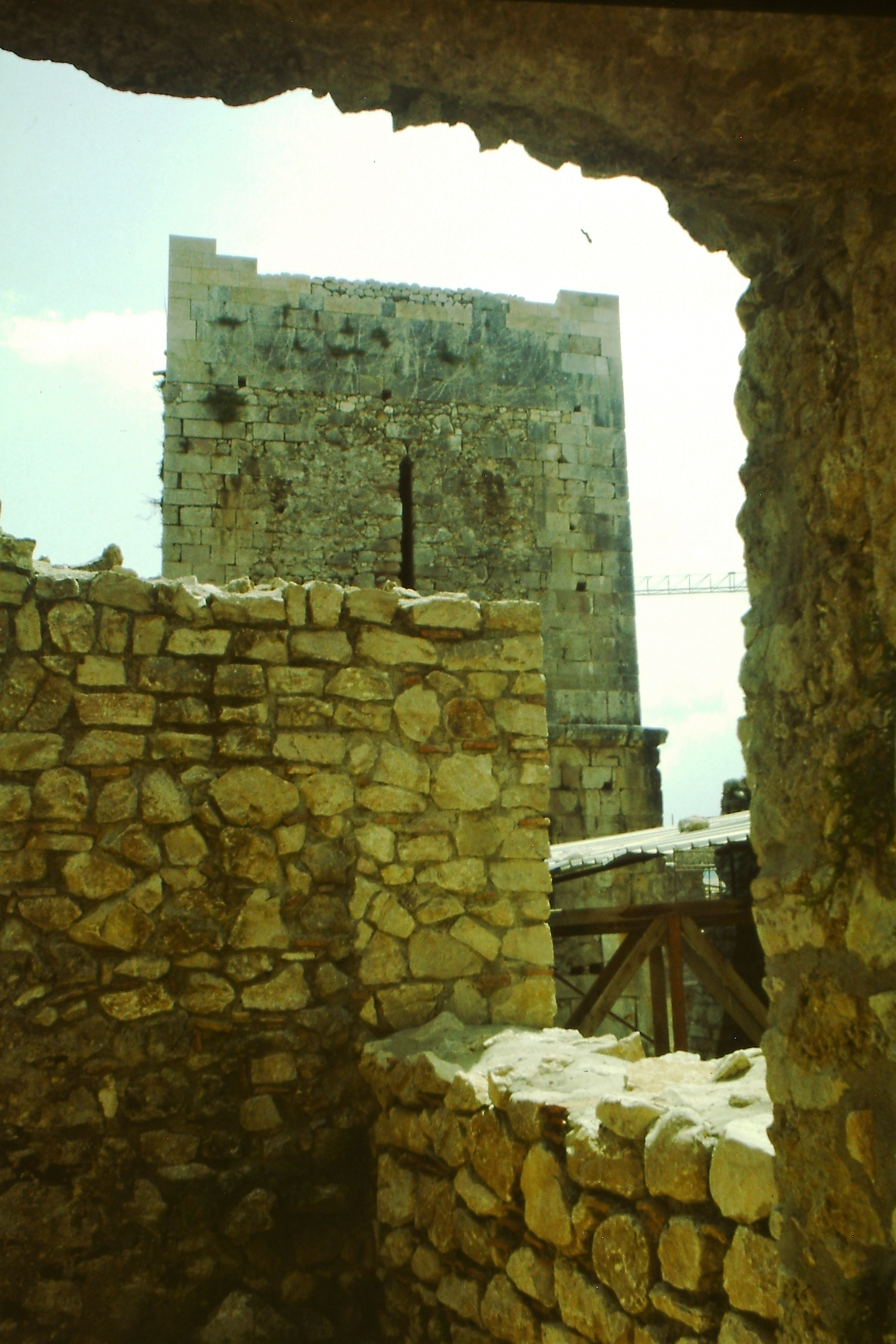 Archivio Luciano Visconti