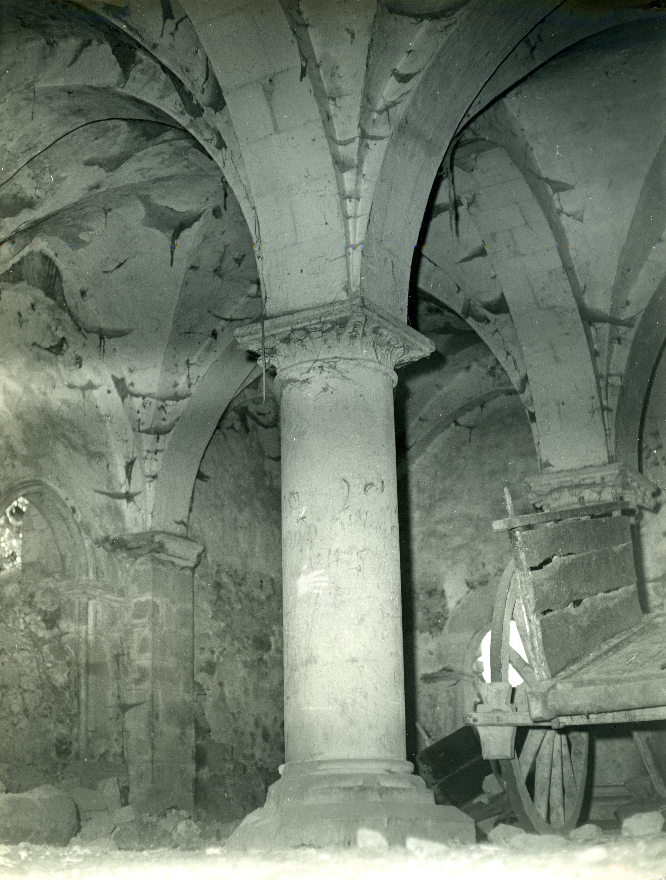 Archivio Dora Garofalo